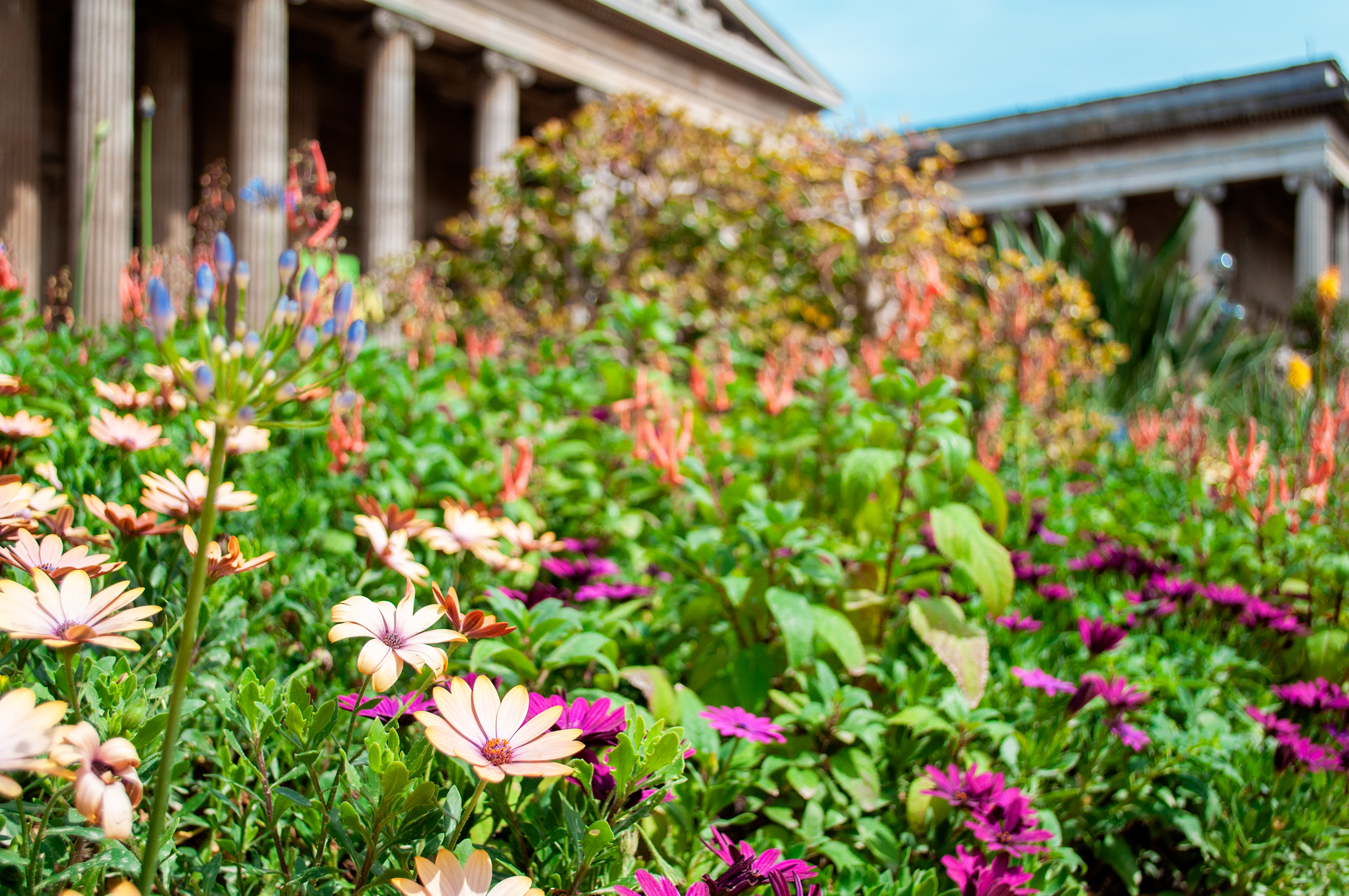 British Museum